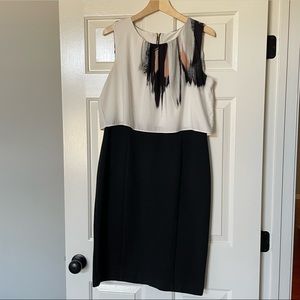 LIKE NEW New York & Company Stretch Dress
